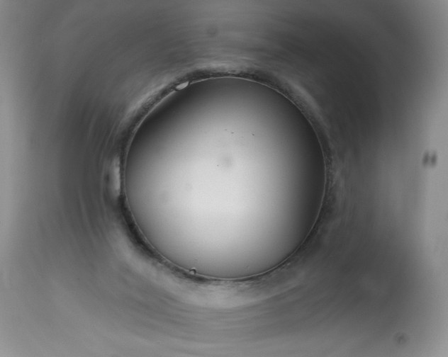 X0000113580020200910021704