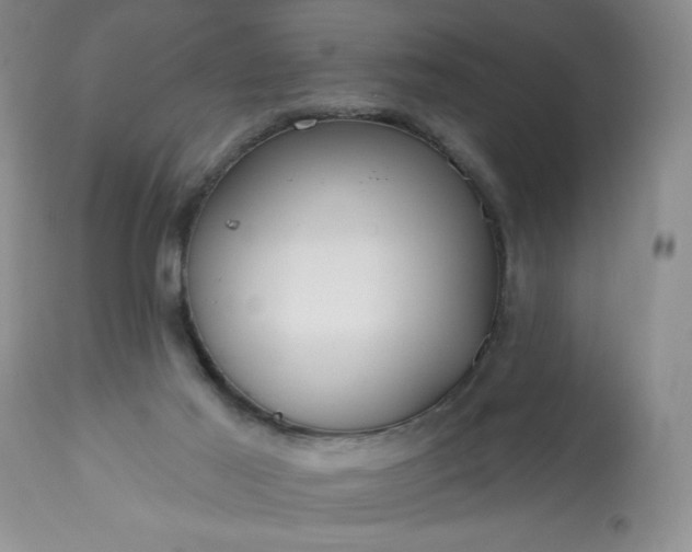 X0000113580021200910021704