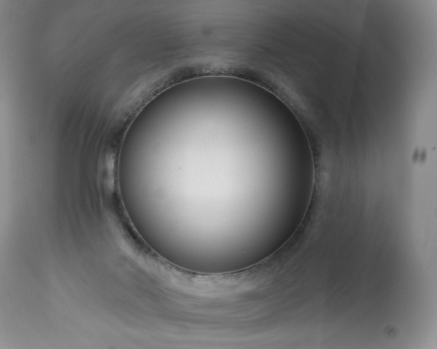 X0000113580022200910021704