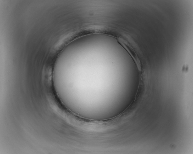 X0000113580024200910021704