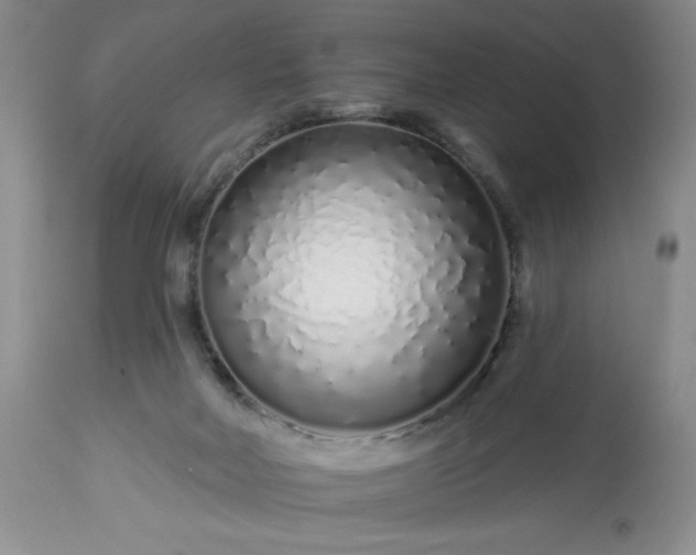 X0000113580026200910021704