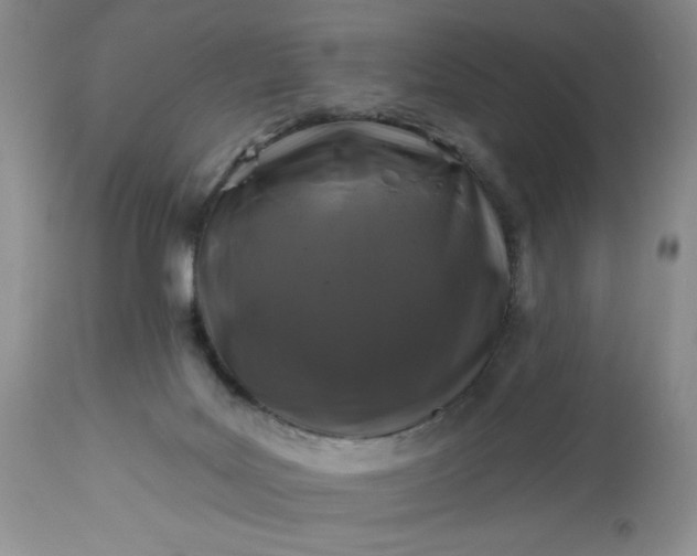 X0000113580027200910021704