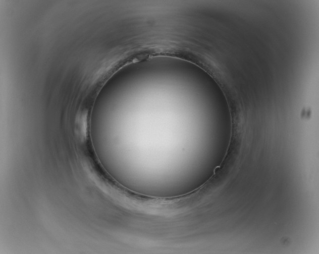 X0000113580028200910021704