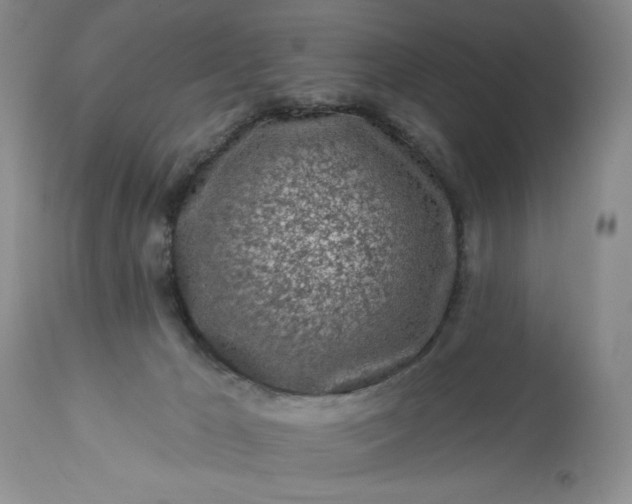 X0000113580029200910021704