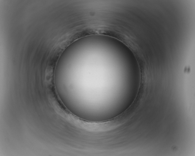 X0000113580030200910021704