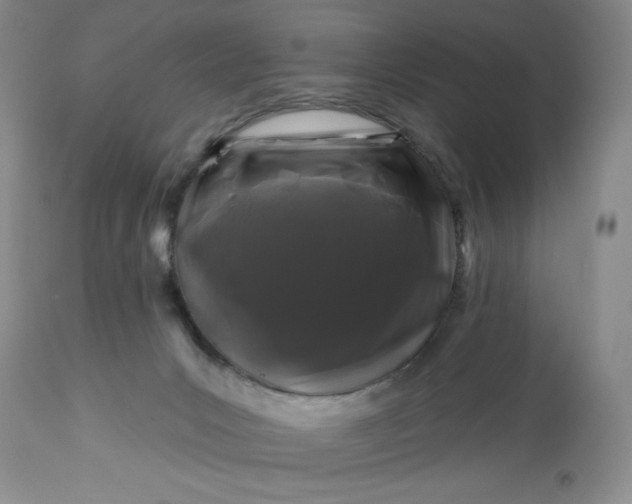 X0000113580031200910021704