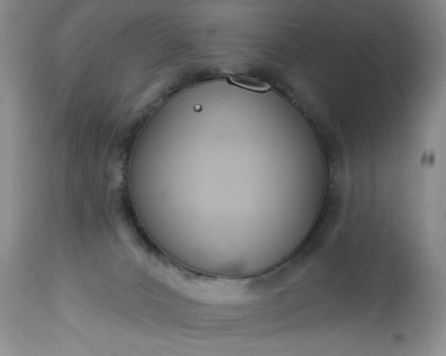 X0000113580032200910021704