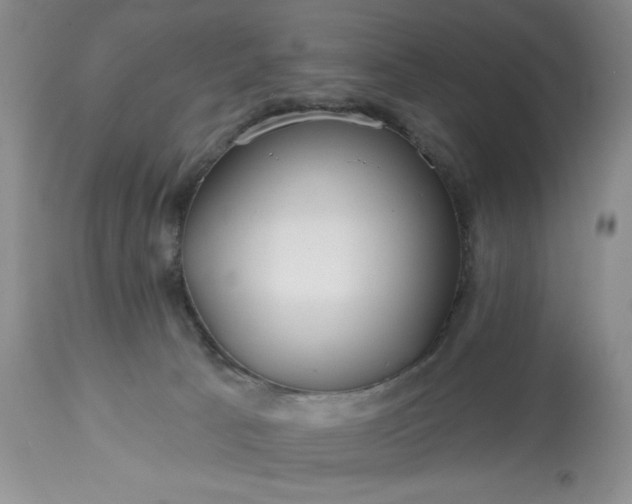 X0000113580033200910021704