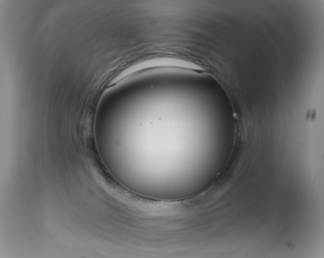 X0000113580036200910021703