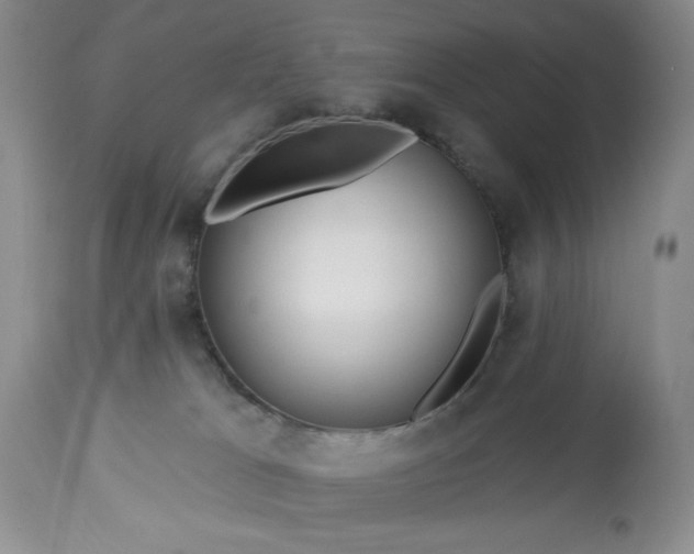 X0000113580037200910021703