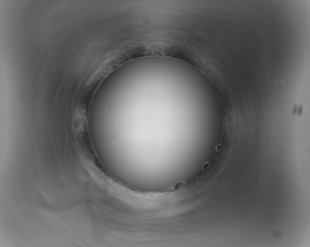 X0000113580038200910021703