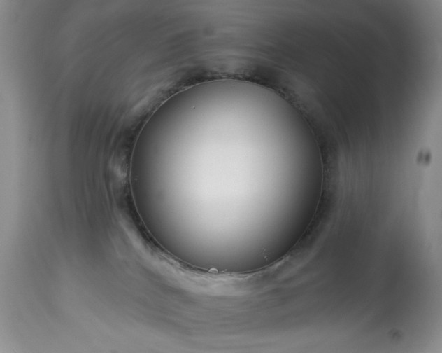 X0000113580040200910021703