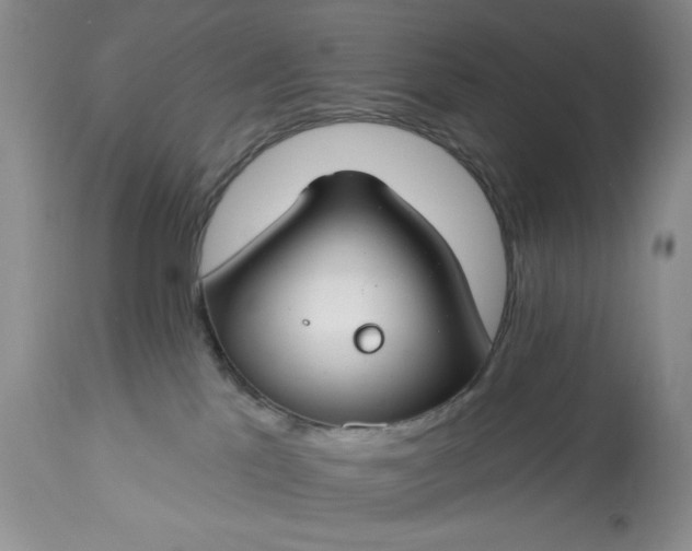 X0000113580041200910021703