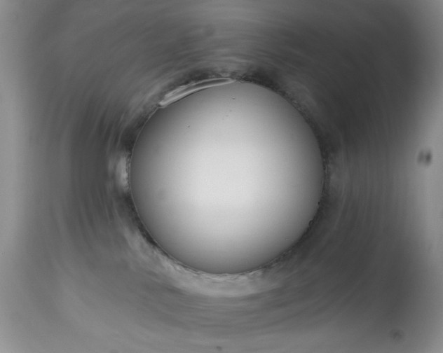 X0000113580042200910021703