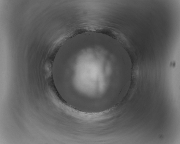 X0000113580043200910021703