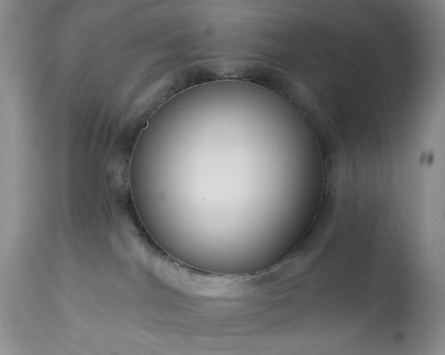 X0000113580044200910021703