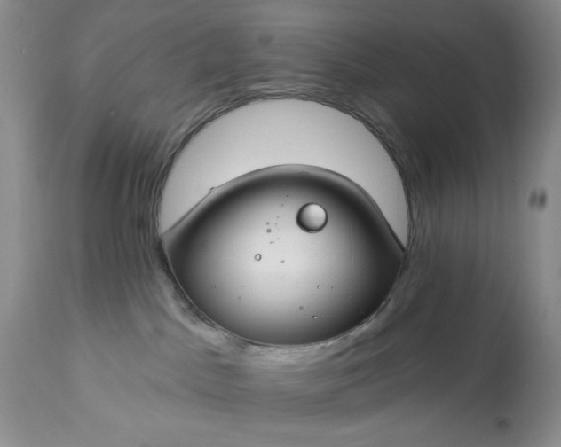 X0000113580045200910021703