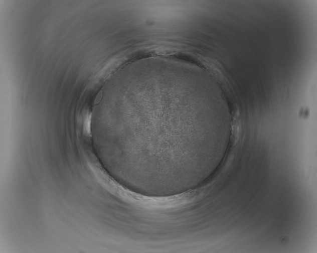 X0000113580046200910021703