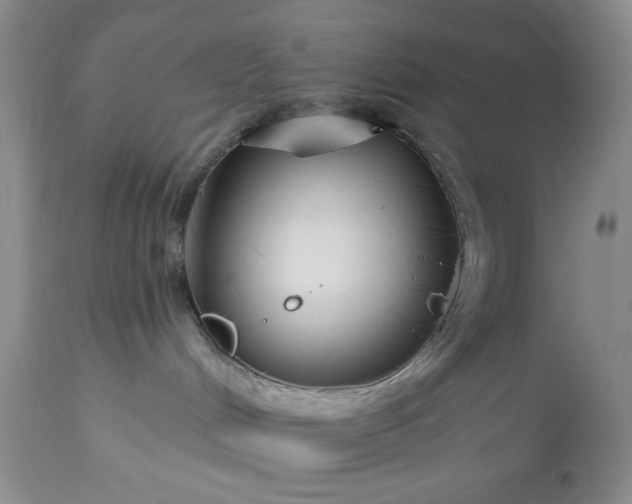 X0000113580048200910021703