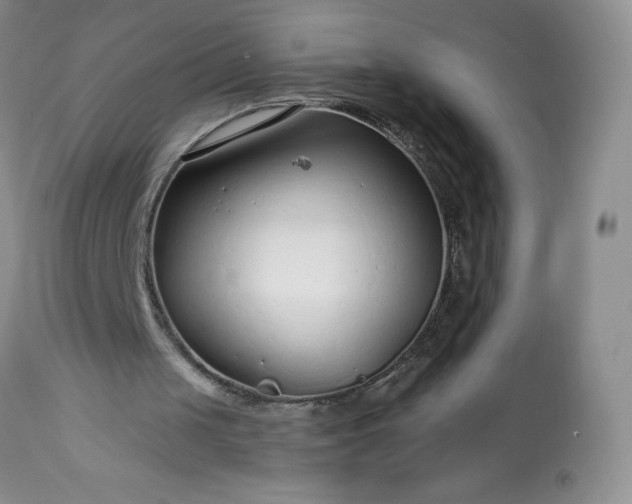 X0000113580049200910021702