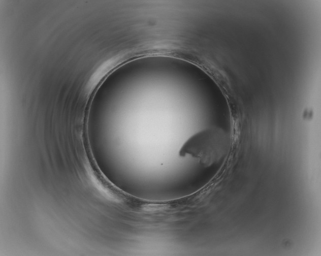 X0000113580051200910021703