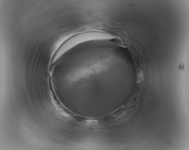 X0000113580052200910021703