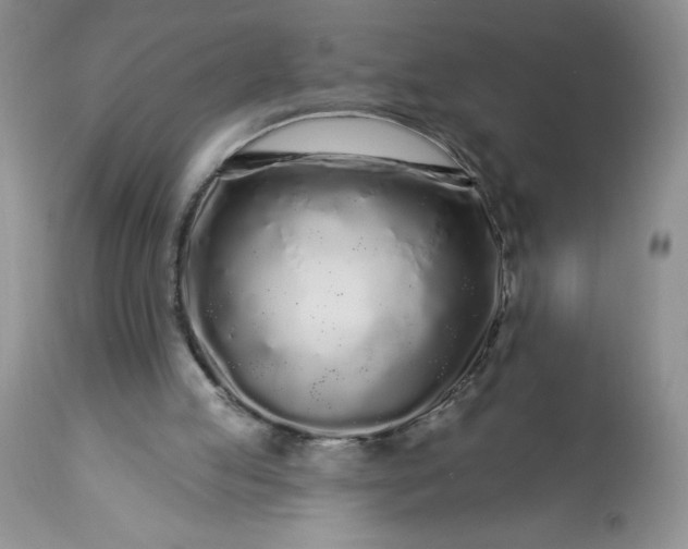 X0000113580053200910021703