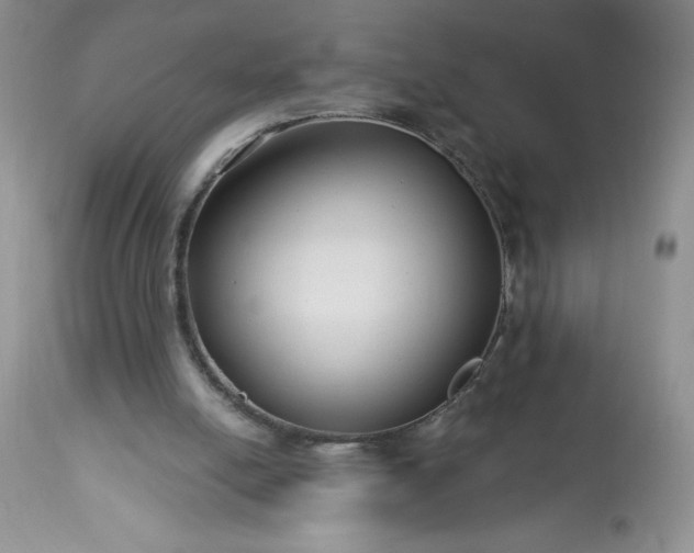 X0000113580054200910021703