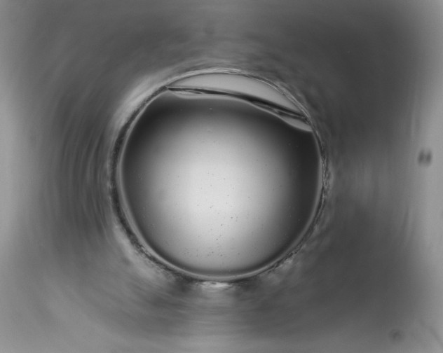 X0000113580055200910021703