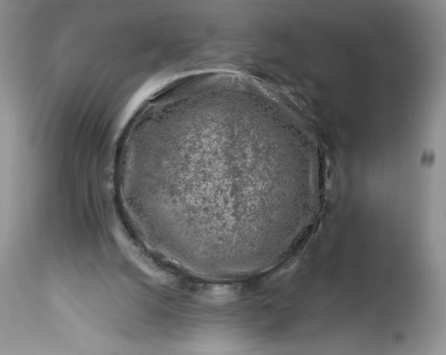 X0000113580056200910021703