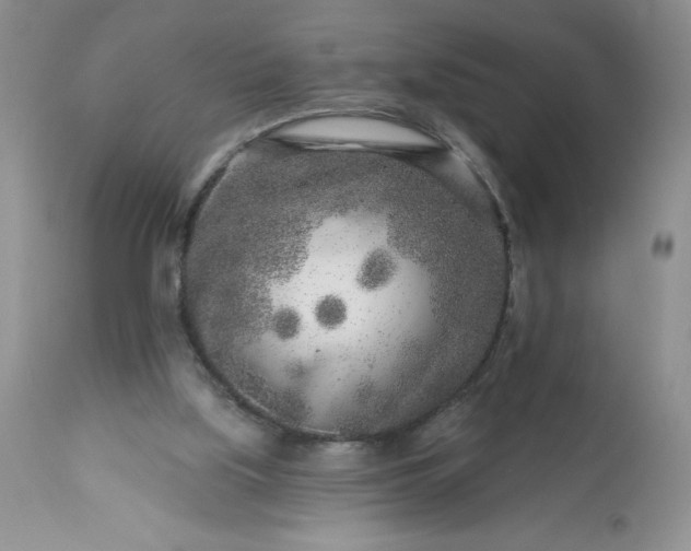 X0000113580059200910021703