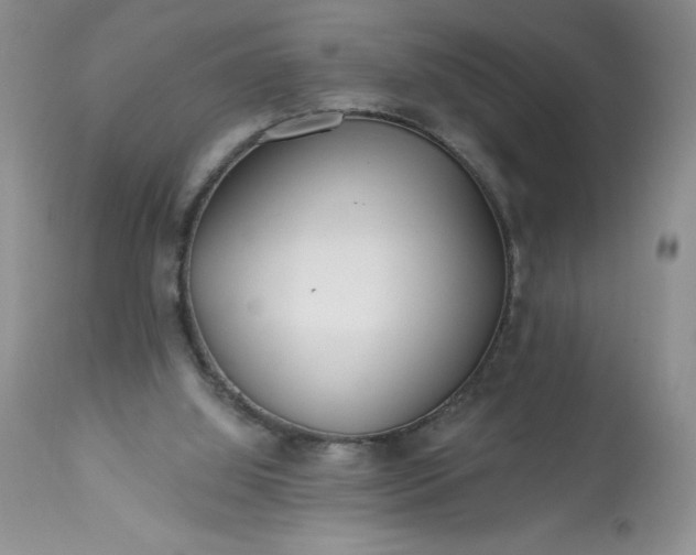 X0000113580060200910021703