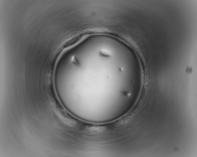 X0000113580063200910021703