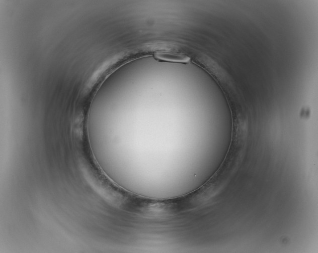 X0000113580064200910021703