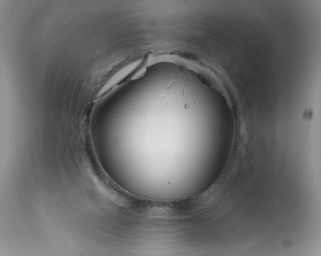 X0000113580066200910021703