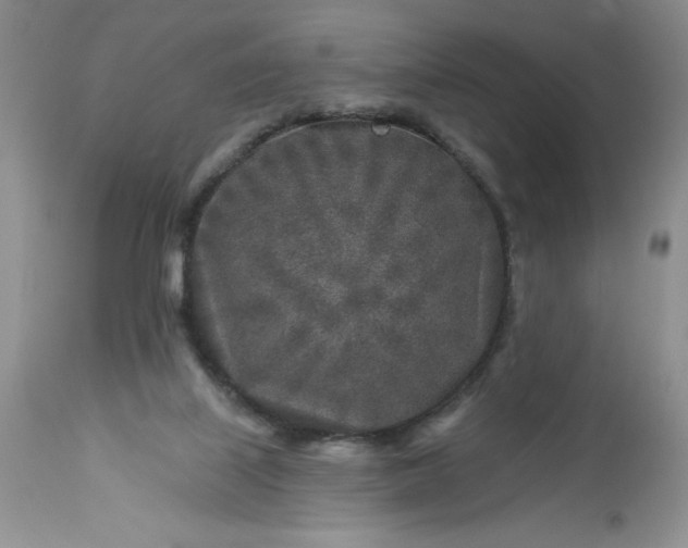 X0000113580067200910021703