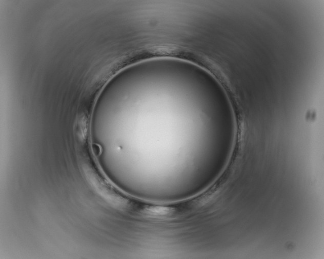 X0000113580069200910021703