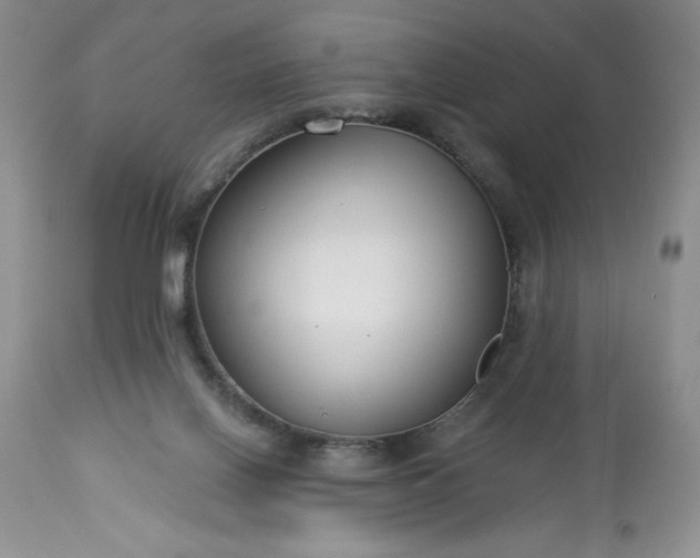 X0000113580070200910021703