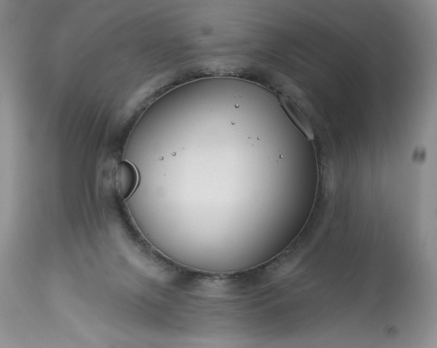 X0000113580071200910021703