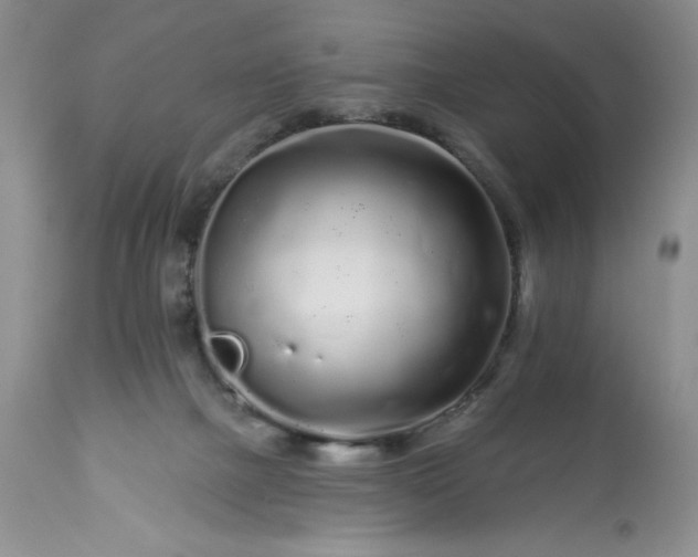 X0000113580073200910021703