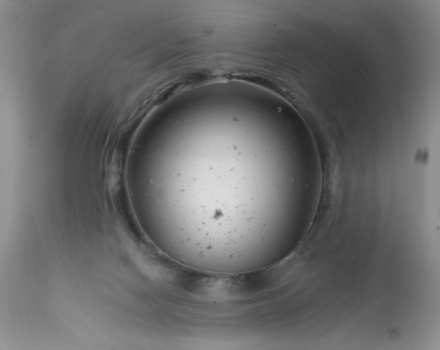 X0000113580074200910021703