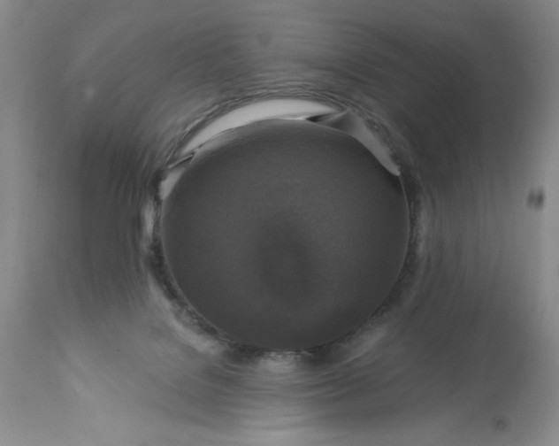 X0000113580076200910021703