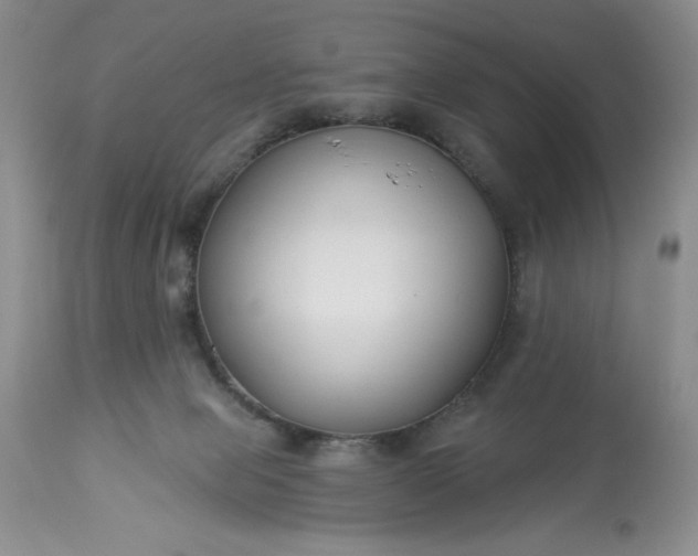 X0000113580077200910021703