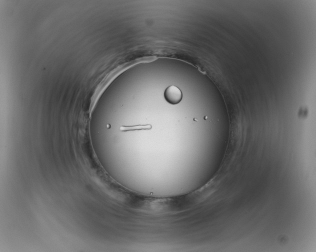 X0000113580078200910021703