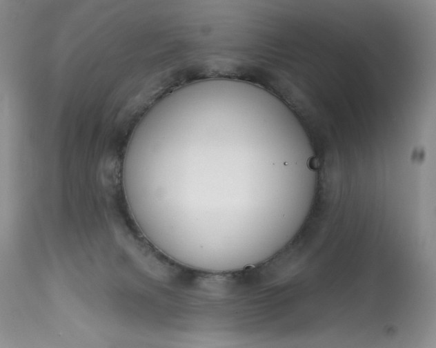 X0000113580079200910021703