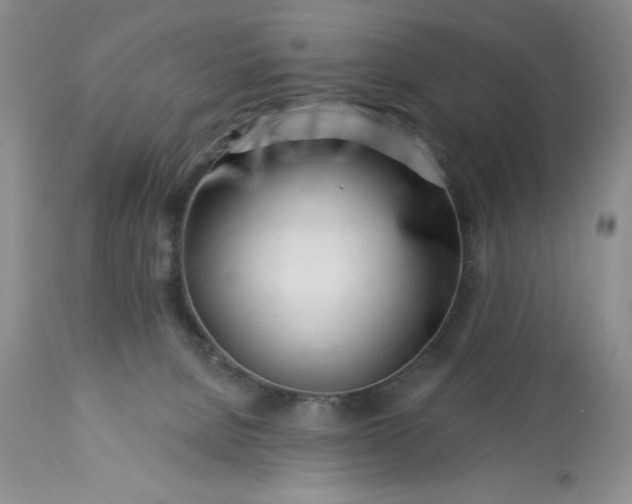 X0000113580080200910021703