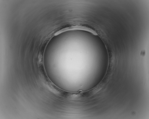 X0000113580081200910021703