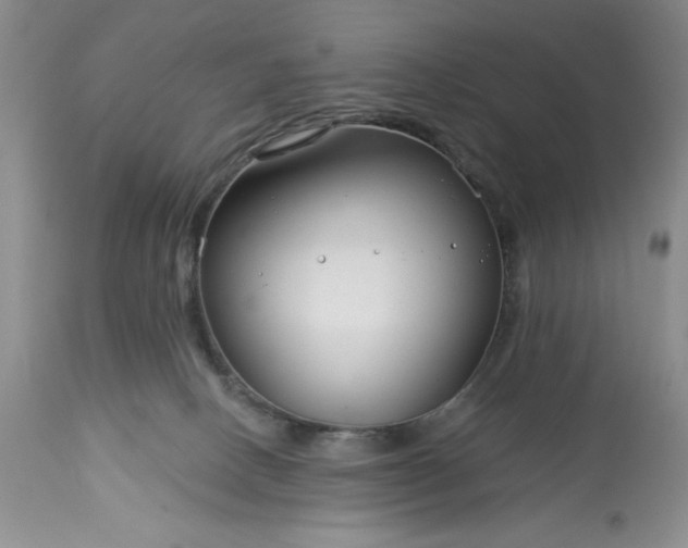 X0000113580082200910021703