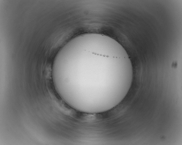 X0000113580083200910021703