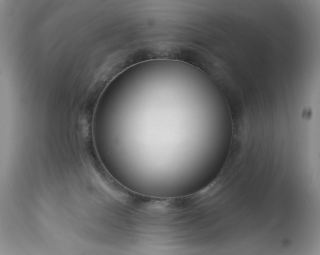 X0000113580086200910021703